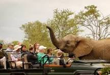 Tourism, Travel, Hospitality image